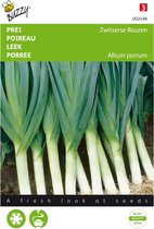 Buzzy zaden - Prei Zwitserse Reuzen - Allium porrum