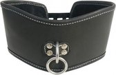 Soft Leather Posture Collar