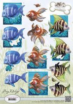 Tropical Fish - Animal Medley 3D-Knipvel Amy Design 10 stuks