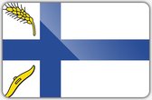 Vlag gemeente Wierden - 200 x 300 cm - Polyester