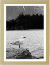 Foto in frame ,  Een Zeemeeuw op een rots , 3 maten , Zwart wit , wanddecoratie , Premium print