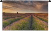 Tapisserie Lavande - Champs de lavande roulants au Royaume-Uni au coucher du soleil Tapisserie coton 180x120 cm - Tapisserie avec photo XXL / Groot format !