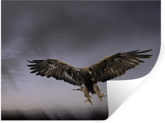 Sticker Mural Adesivo Rimovibile Con Vista Finestra E Aquila In Volo - 3 Piedi Di Larghezza, Decorazione Parete
