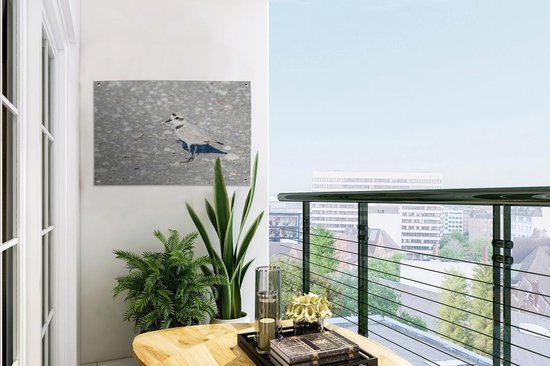 Kentish plover on a stone beach Garden poster 60x40 cm - small - Toile de jardin / Toile d'extérieur / Peintures pour l'extérieur (décoration de jardin)