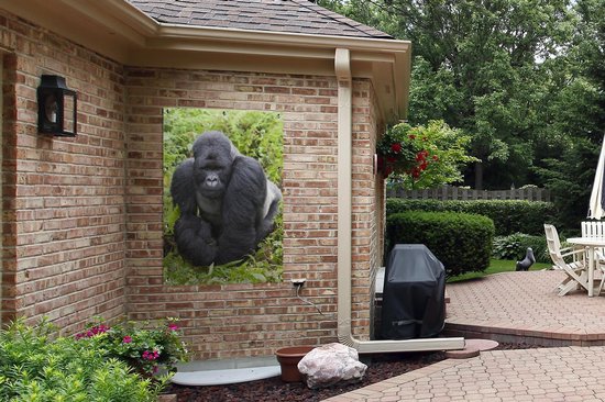 Un Gorilla promène dans les feuilles vertes Affiche de jardin 80x120 cm - Toile de jardin / Toile d'extérieur / Peintures pour l'extérieur (décoration de jardin)