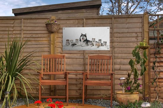 Affiche de jardin Mère avec chiots toile en vrac 60x30 cm - petit - Toile de jardin / Toile d'extérieur / Peintures pour l'extérieur (décoration de jardin)