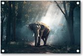 Olifant - Tuinposter 90x60 - Wanddecoratie - Besteposter - Dieren