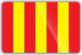 Glad wegdek vlag - 50 x 75 cm - Polyester