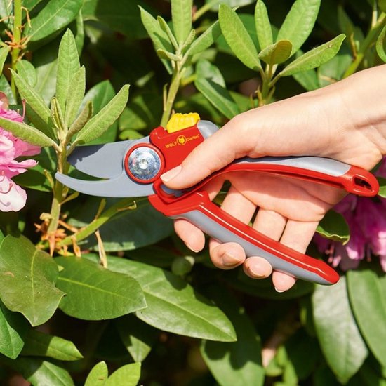 Grijze en rode snoeischaar met softinleg, in een hand gehouden bij roze bloesems en groene bladeren.