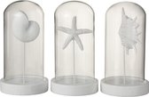 J-Line Stolpen Schelpen Oneffen Polyresine/Glas Wit Assortiment Van 3