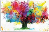 Schilderij Kleurrijke boom