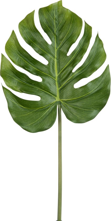 J-Line Philodendron 'Real Touch' Blad - kunststof - groen - 12 stuks