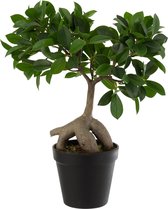 J-Line Ficus Arbre En Pot Plastique Vert/Noir Small