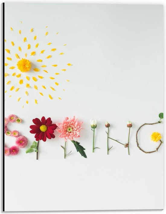Dibond - ''Spring'' van Bloemen - 30x40cm Foto op Aluminium (Wanddecoratie van metaal)