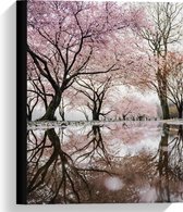 Canvas  - Bos met Mooie Bomen met Roze Bloesem - 30x40cm Foto op Canvas Schilderij (Wanddecoratie op Canvas)