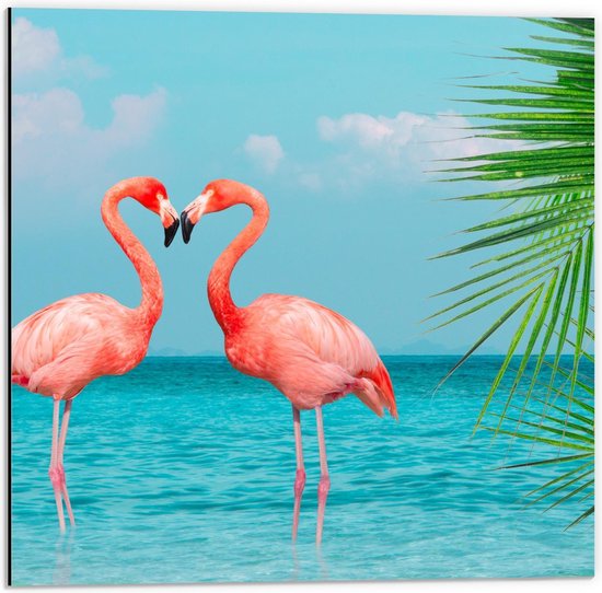 Dibond - Twee Liefdevolle felroze Flamingo's in het Water  - 50x50cm Foto op Aluminium (Wanddecoratie van metaal)