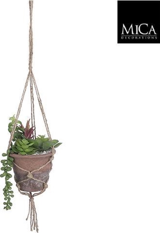 Plante succulente en pot suspendu - Vert - 4 pcs | bol.com