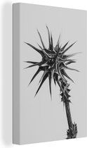 Canvas Schilderij Plant met doornen in zwart-wit - 80x120 cm - Wanddecoratie