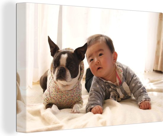 Chien Et Bebe Posant Sur Une Toile De Lit 2cm 60x40 Cm Tirage Photo Sur Toile Bol Com