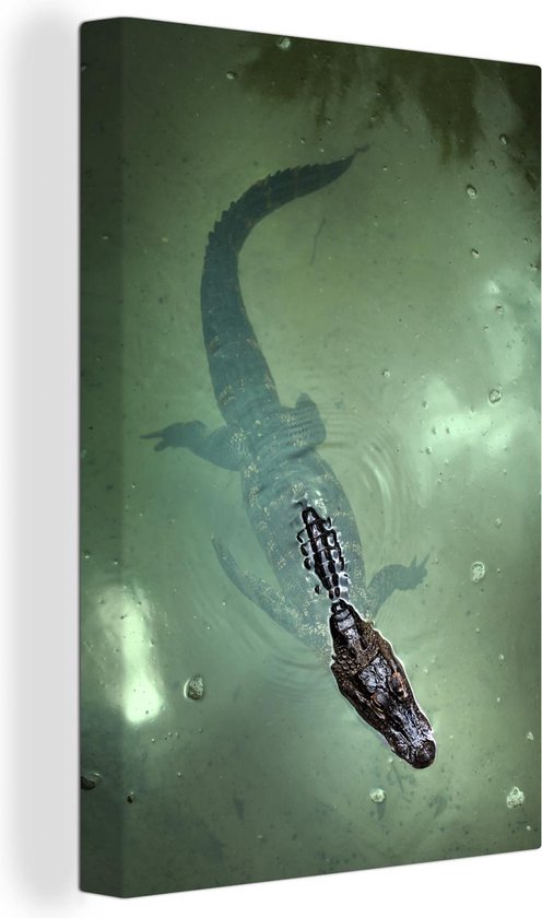 Canvas Schilderij Alligator - Florida - Reptielen - 80x120 cm - Wanddecoratie
