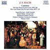 Ingrid Kertesi - Cantatas Bwv 80 & 147 (CD)