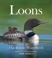 Favorite Wildlife- Loons