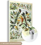 MuchoWow® Glasschilderij 60x80 cm - Schilderij acrylglas - Vogels - Dier - Natuur - Foto op glas - Schilderijen