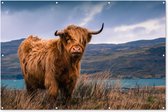 Muurdecoratie Schotse hooglander - Lucht - Natuur - 180x120 cm - Tuinposter - Tuindoek - Buitenposter
