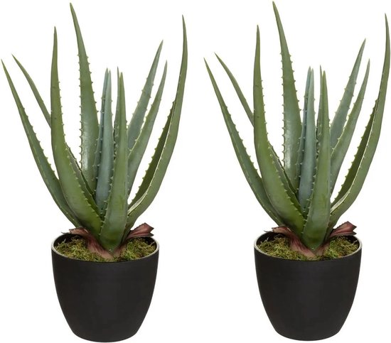 Set van 2x stuks atmosphera Aloe kunstplanten in pot van cement 42 cm - Nepplanten