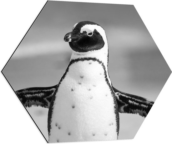 WallClassics - Dibond Hexagon - Vrolijke Pinguïn Zwart / Wit - 80x69.6 cm Foto op Hexagon (Met Ophangsysteem)