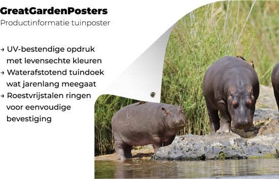 Posters de jardin extérieur Hippopotames - Water - Afrique du Sud - 90x60 cm - Toile jardin - Affiche extérieure