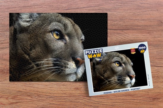 Educa Puzzel met 500 stukjes voor volwassenen, feeën en vlinders, inclusief lijm Fix puzzel, vanaf 11 jaar (19247