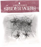 spinnenweb met 4 spinnen , kindercrea