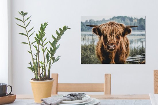 Toile - Highlander écossais - Animaux - Vache - Nature - Water - Décoration murale - Peintures sur toile - Peintures salon - 40x30 cm