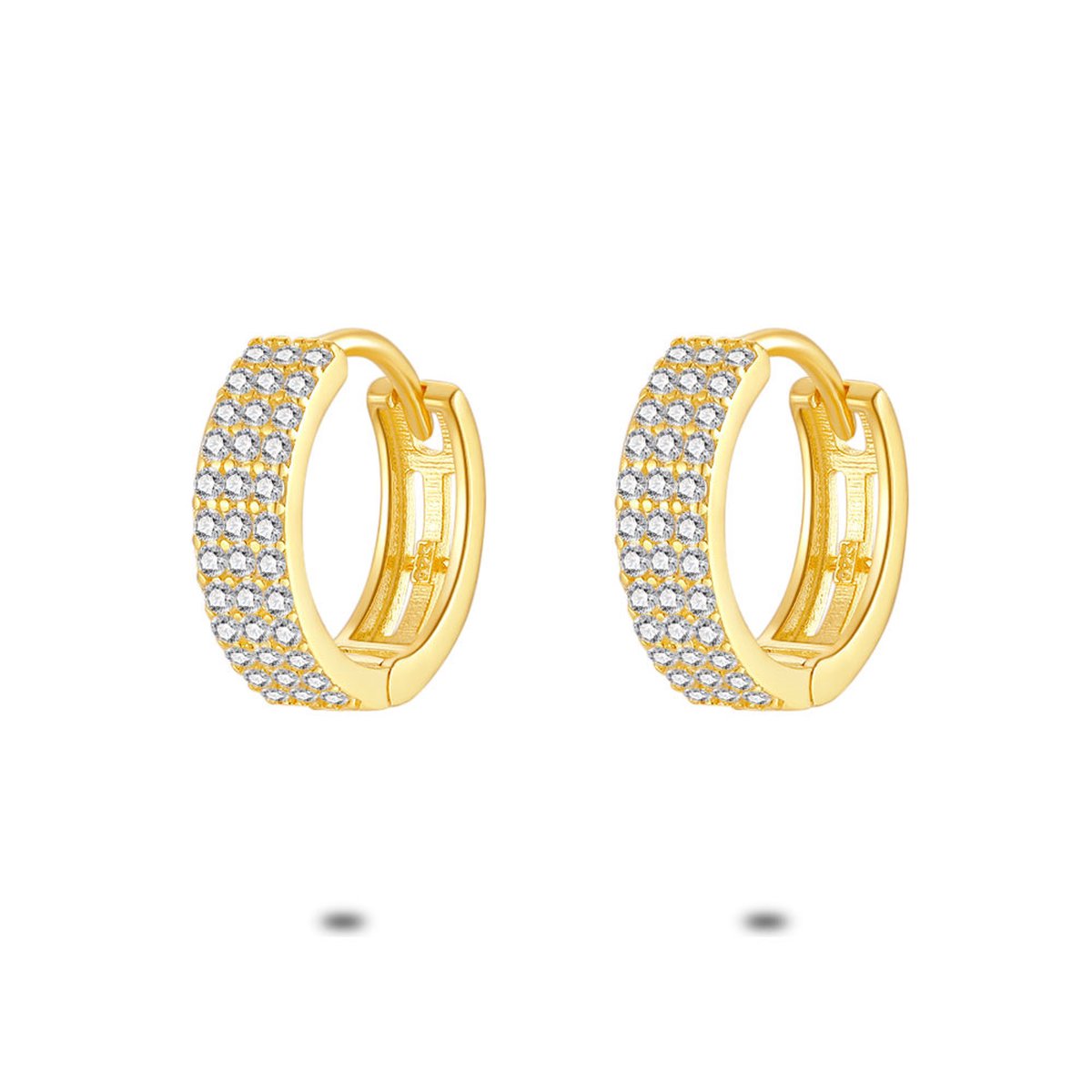 Twice As Nice Oorbellen in 18kt verguld zilver, oorringen, zirkonia