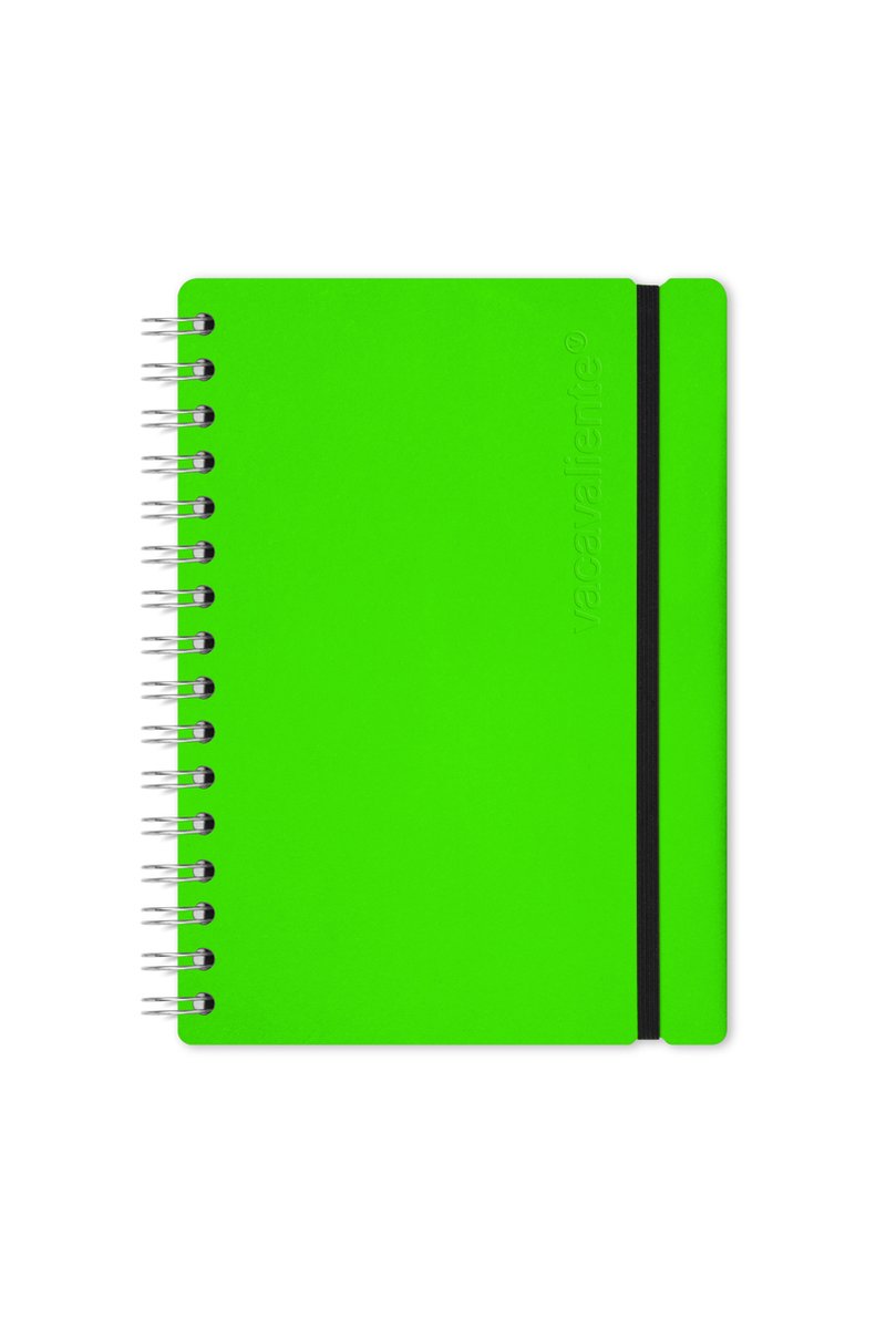 Vacavaliente - Studio Notitieboek A5 - Gerecycled Leer - Groen