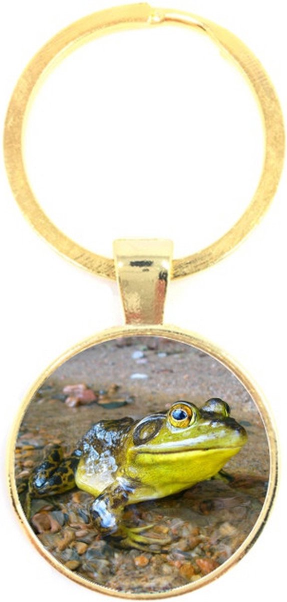 Sleutelhanger Glas - Kikker
