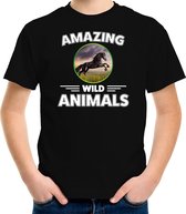 T-shirt paard - zwart - kinderen - amazing wild animals - cadeau shirt paard / paarden liefhebber 110/116