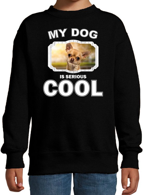 Chihuahua honden trui / sweater my dog is serious cool zwart - kinderen - Chihuahuas liefhebber cadeau sweaters - kinderkleding / kleding 170/176