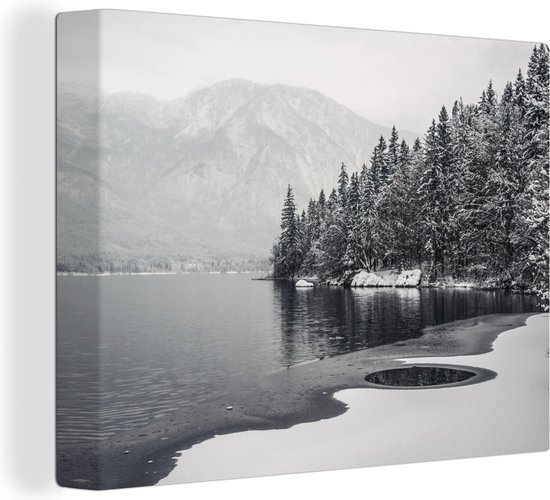 Canvas Schilderij Water - Winter - Natuur - Dennenboom - 40x30 cm - Wanddecoratie