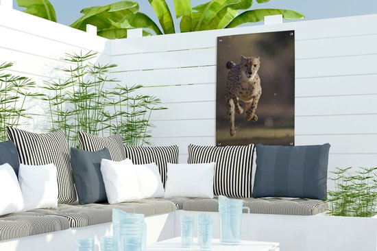 Affiche de jardin photo léopard de chasse 40x60 cm - petit - Toile de jardin / Toile d'extérieur / Peintures pour l'extérieur (décoration de jardin)