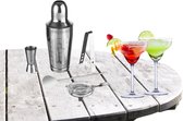 Cocktailshaker set RVS 5-delig inclusief 4x margarita glazen 250 ml