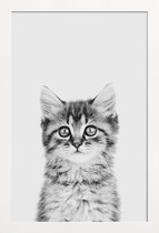 JUNIQE - Poster in houten lijst Kitten Classic -20x30 /Wit & Zwart