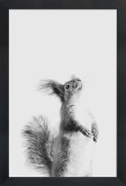 JUNIQE - Poster in houten lijst Red Squirrel III -60x90 /Grijs