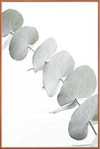JUNIQE - Poster met kunststof lijst Eucalyptus White 3 -13x18 /Groen &