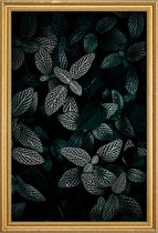 JUNIQE - Poster met houten lijst Dark Leaves 3 -40x60 /Groen & Zwart