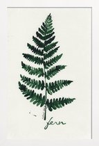 JUNIQE - Poster met houten lijst Fern -13x18 /Groen & Ivoor