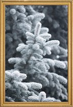 JUNIQE - Poster met houten lijst Winter Forest -13x18 /Grijs & Wit