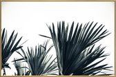 JUNIQE - Poster met kunststof lijst Palm Shade 3 -30x45 /Grijs & Wit