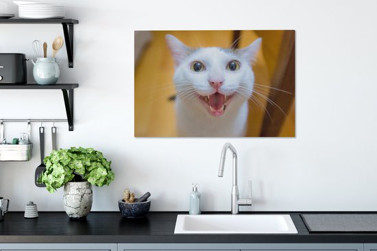 Chat souriant gros plan 90x60 cm - Tirage photo sur toile (Décoration murale salon / chambre)